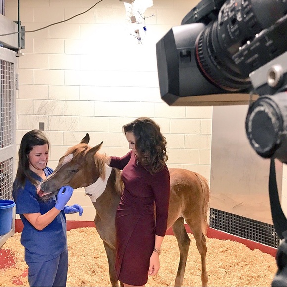 Meet your Posher, Gabriella - Picture 9 of 14